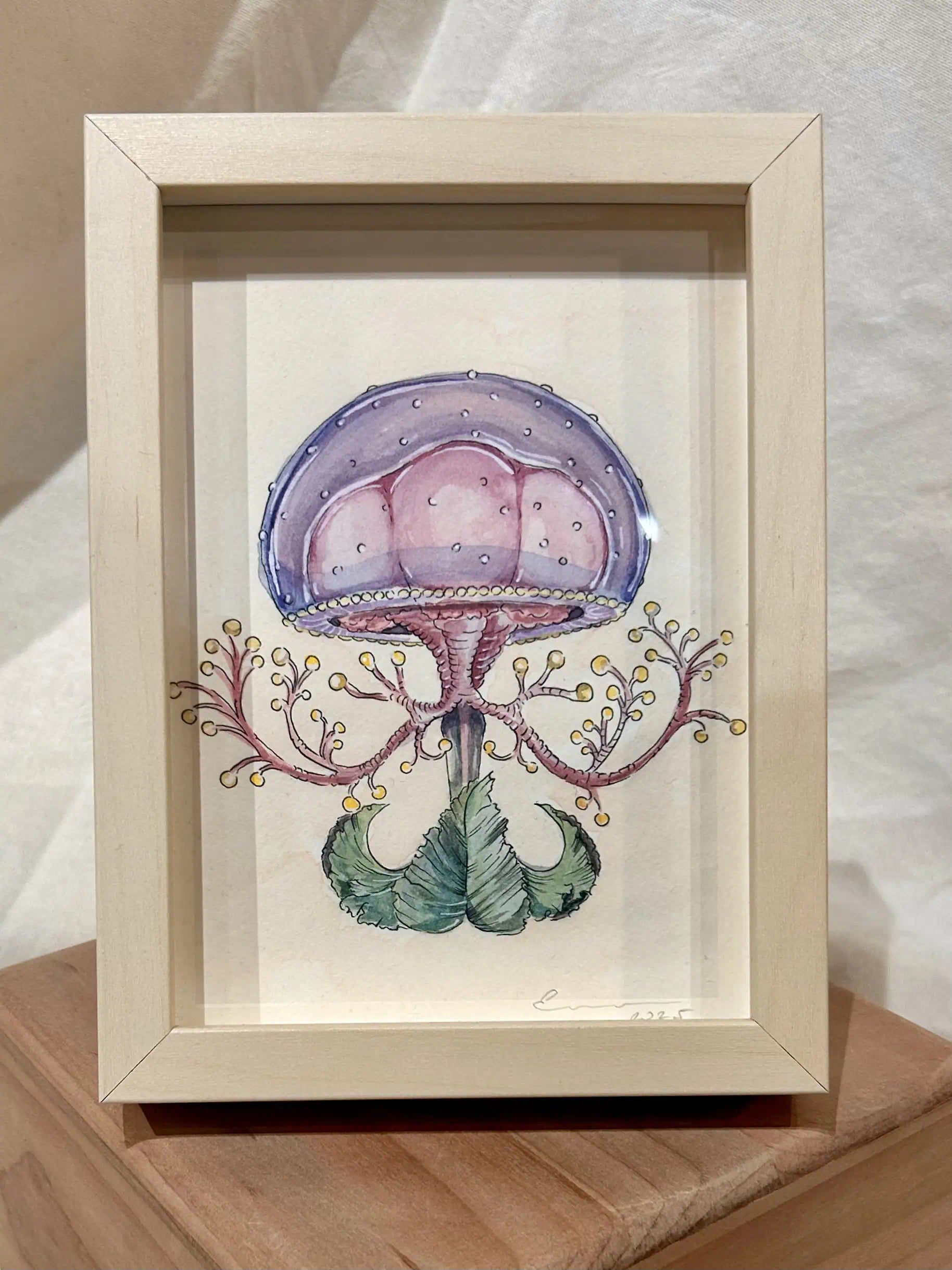 Medusa sobre acuarela