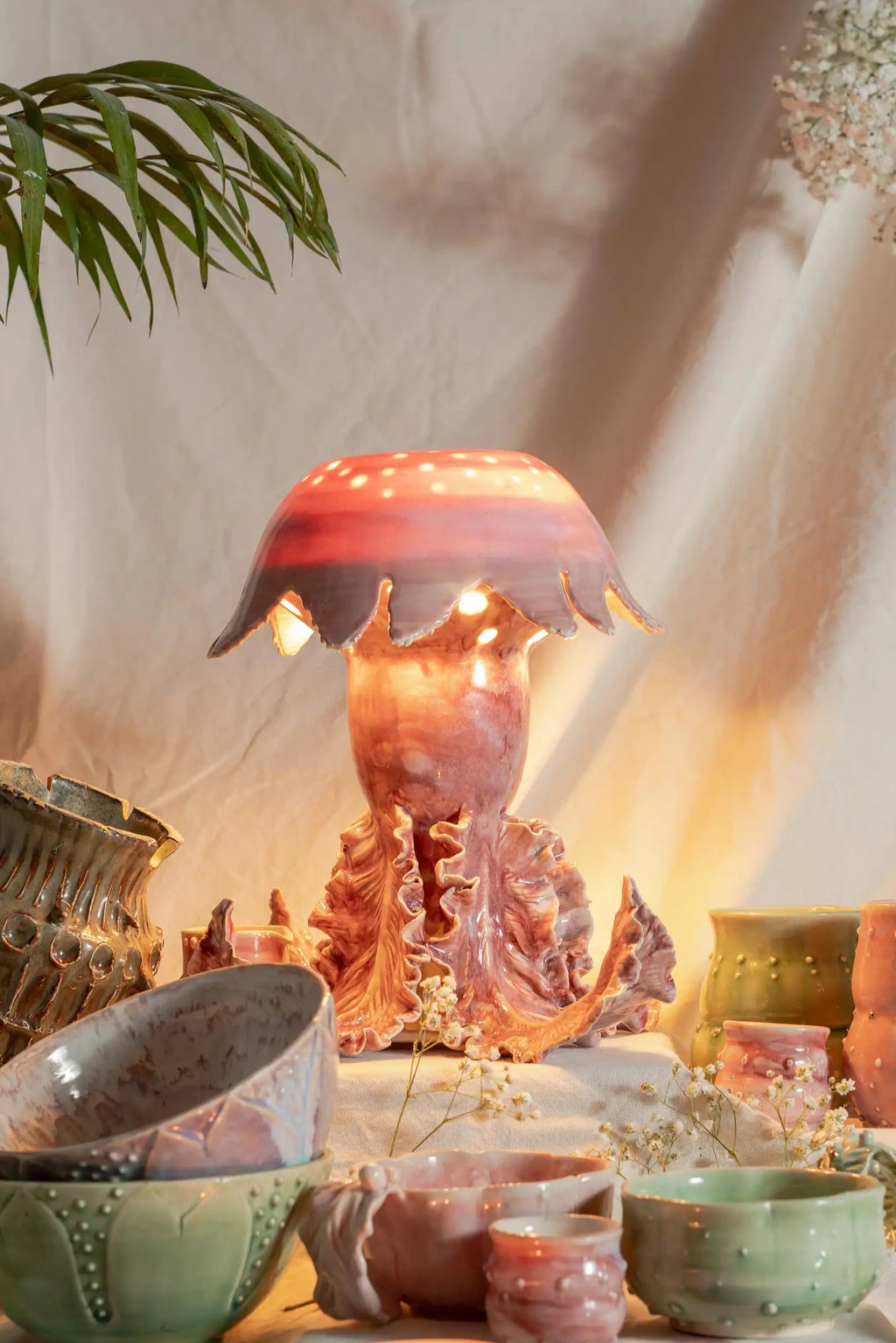 Cnidaria