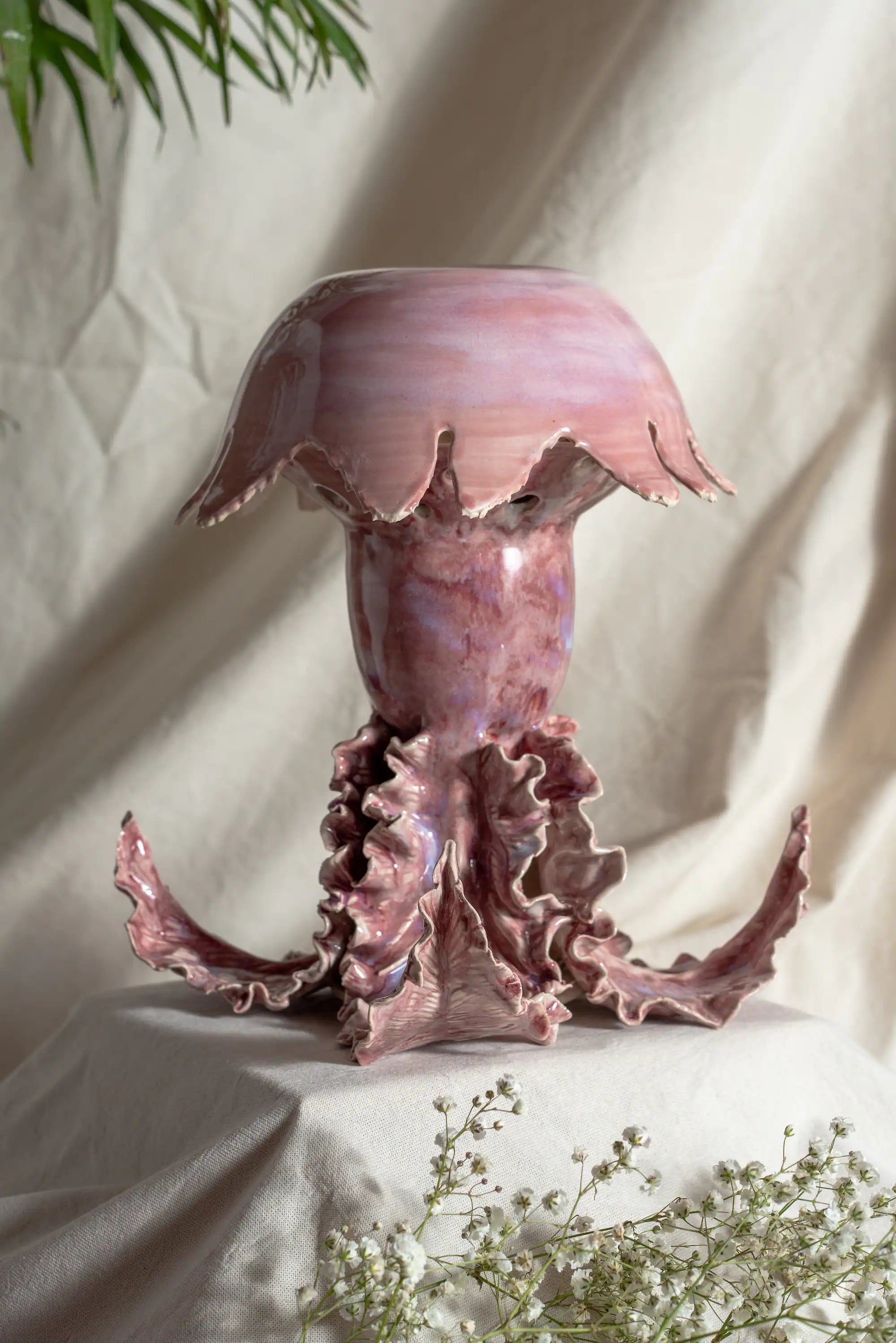 Cnidaria
