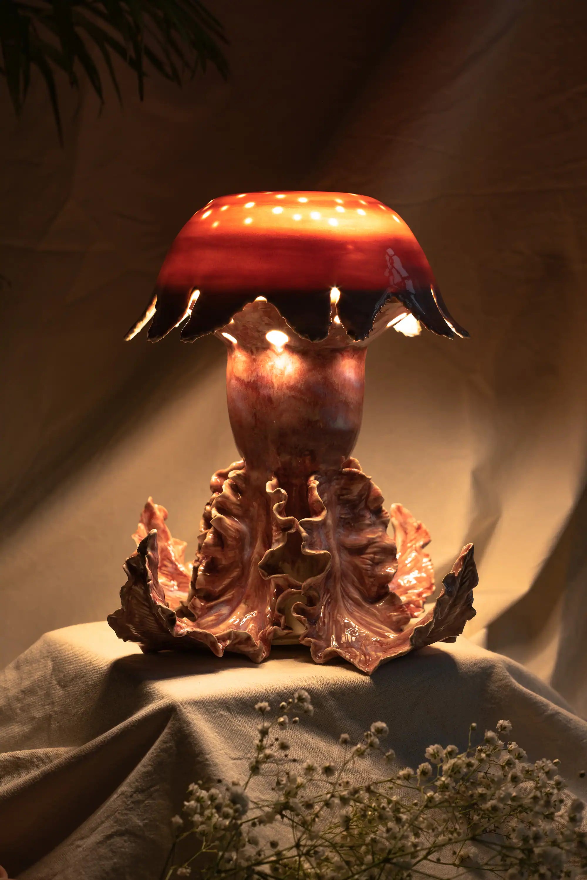 Cnidaria